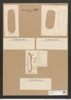 Nitzschia campechiana Grun. (de-Toni-Nr.: Genus 47, Species 2023) Zeichnungen Sammlung Grunow Nr. 4003 (NHMW-BOT-W0371799)